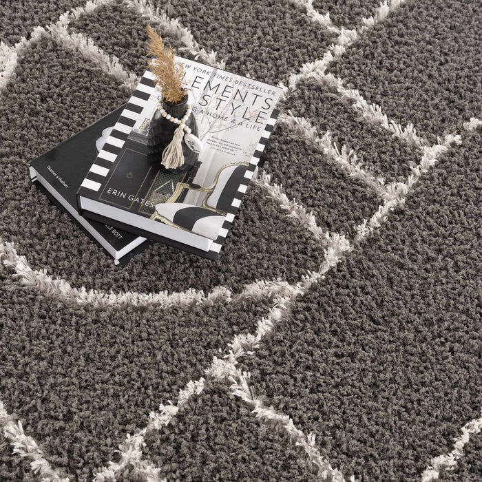 Hauteloom Andia Charcoal Area Rug