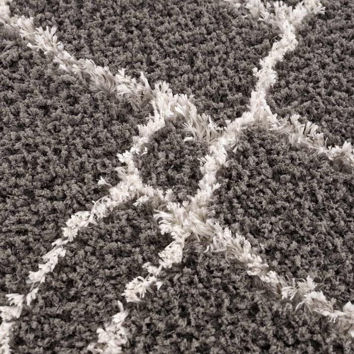 Hauteloom Andia Charcoal Area Rug