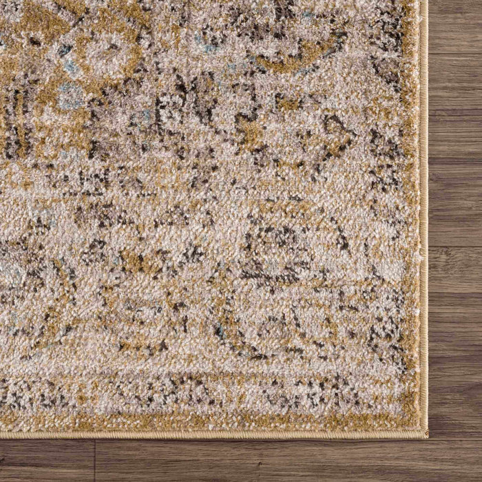 Hauteloom Anana Gold & Beige Area Rug - Clearance