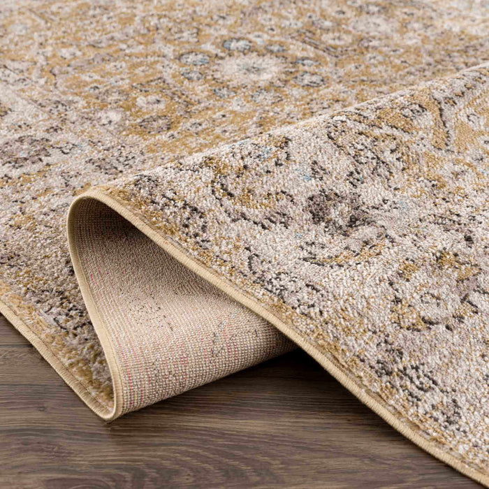 Hauteloom Anana Gold & Beige Area Rug - Clearance