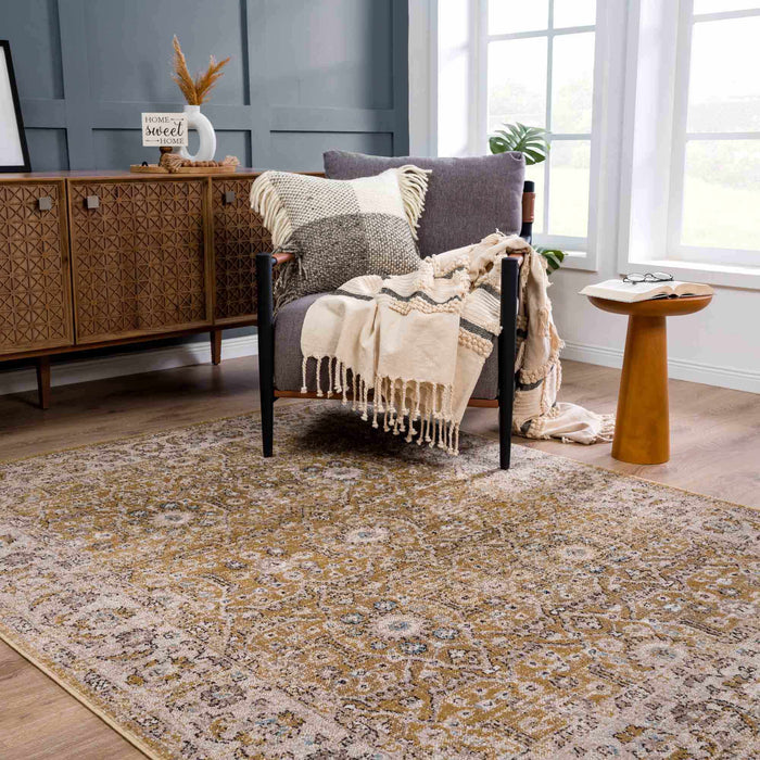 Hauteloom Anana Gold & Beige Area Rug - Clearance