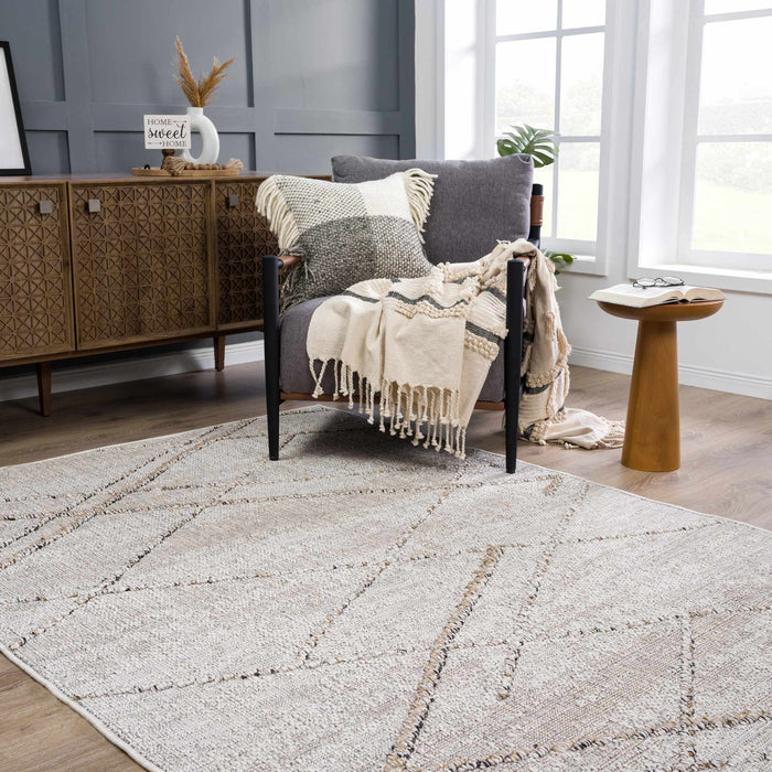 Hauteloom Baqer Bone & Tan Textured Performance Rug - Limited Edition