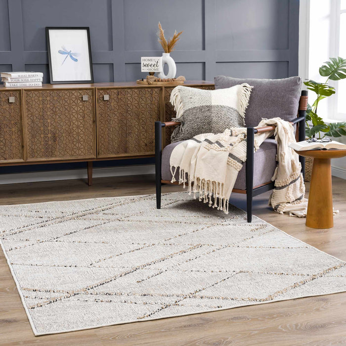 Hauteloom Baqer Bone & Tan Textured Performance Rug - Limited Edition