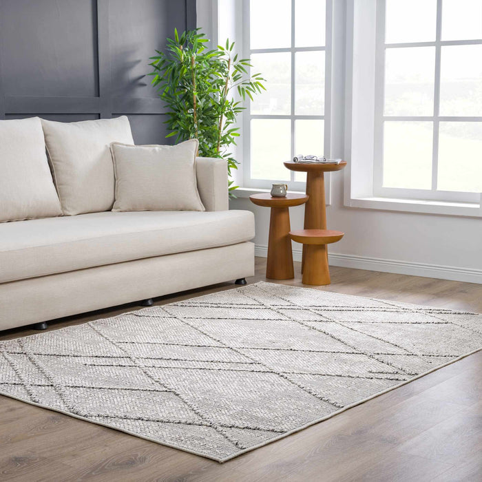 Hauteloom Baqer Bone & Taupe Textured Performance Rug - Limited Edition