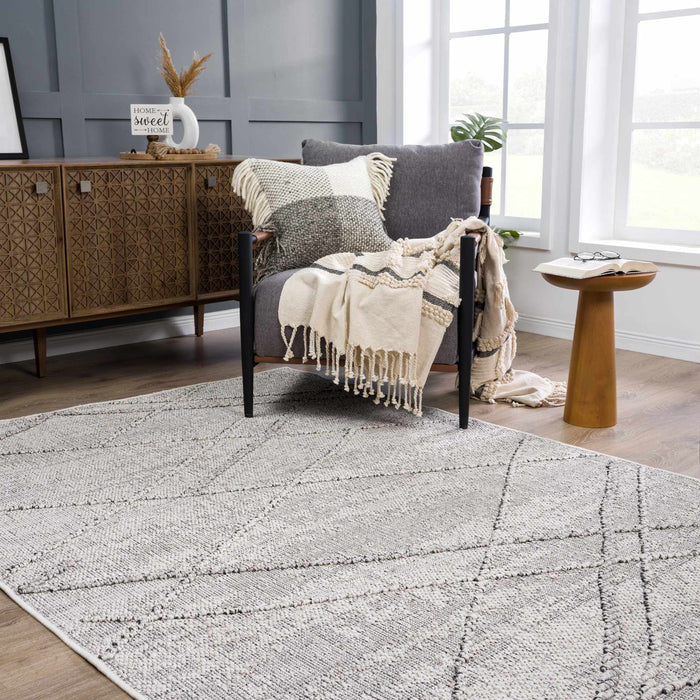 Hauteloom Baqer Bone & Taupe Textured Performance Rug - Limited Edition