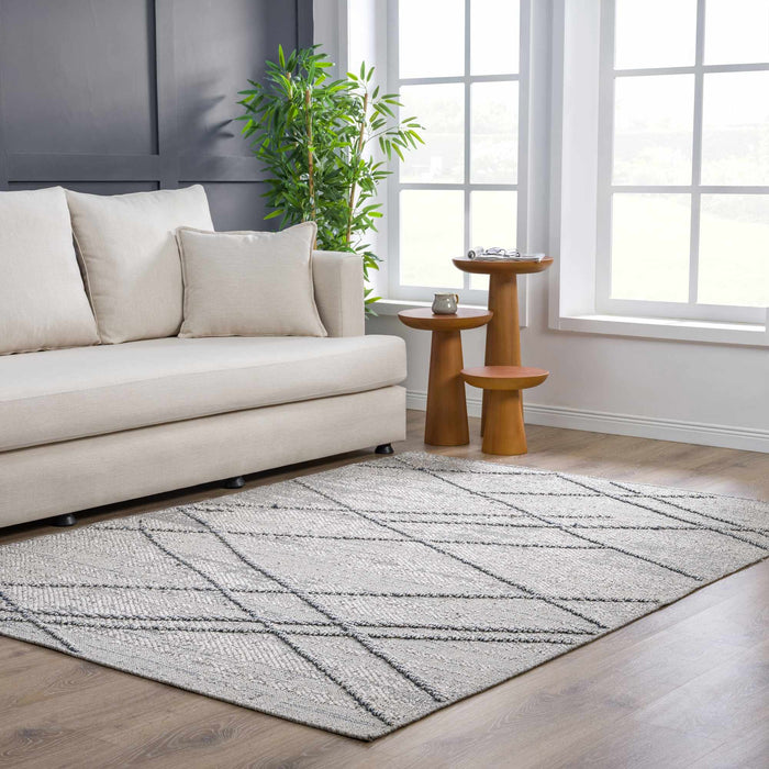 Hauteloom Baqer Taupe & Gray Textured Performance Rug - Limited Edition