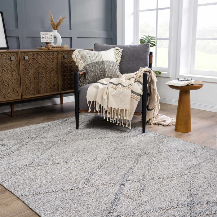 Hauteloom Baqer Taupe & Gray Textured Performance Rug - Limited Edition