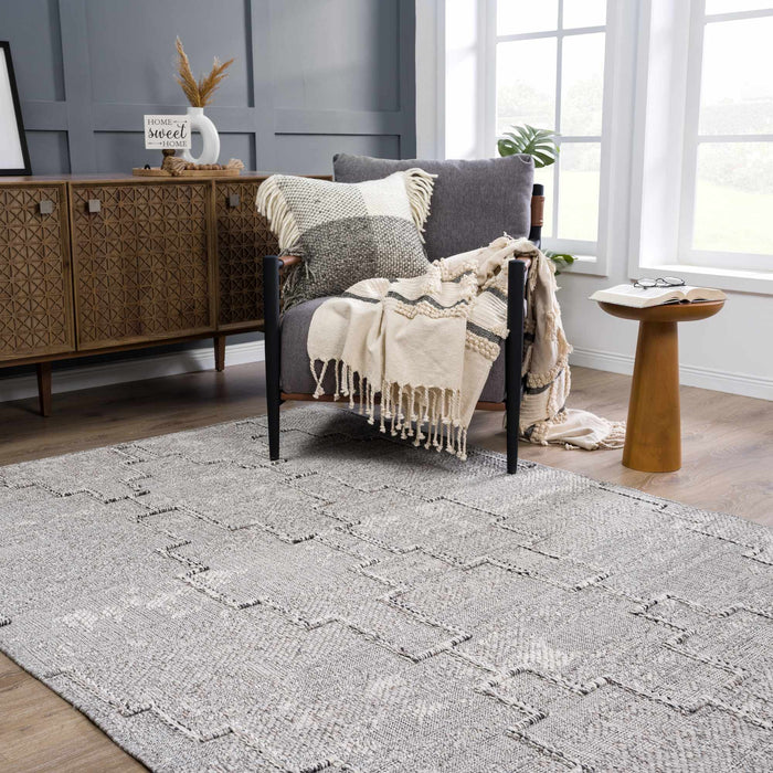 Hauteloom Butch Taupe Textured Performance Rug - Limited Edition