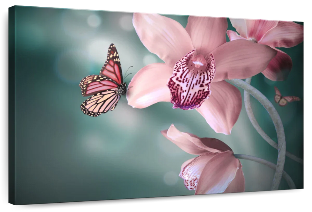 ElephantStock Butterfly Orchid Wall Art