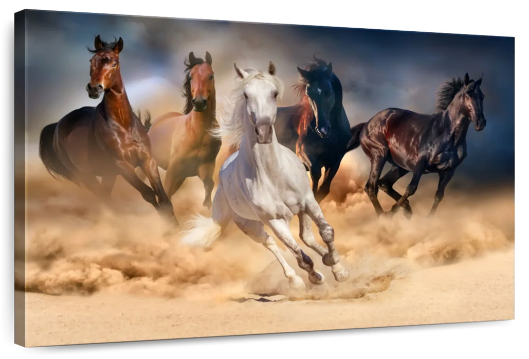 ElephantStock Running Herd Of Horses Wall Art