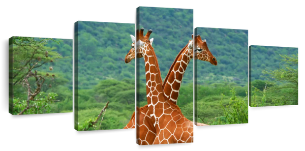 ElephantStock Giraffe Love Wall Art