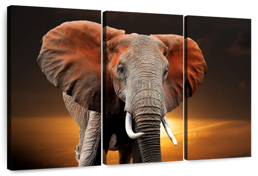 ElephantStock Kenyan Elephant Wall Art