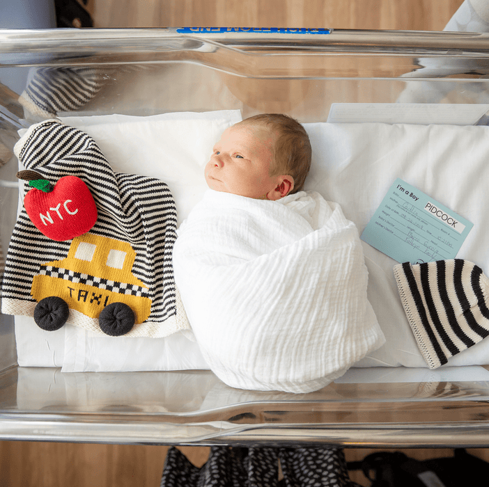 Estella Organic Baby Gift Set - Newborn Lovey Blanket, Rattle Toy & Hat | Taxi