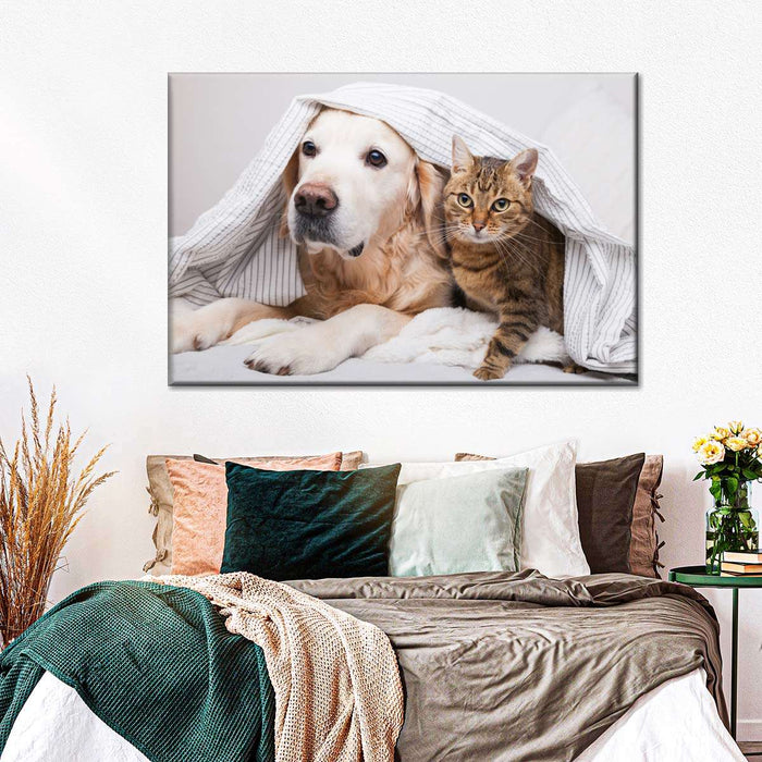 ElephantStock Cozy Dog And Cat Wall Art