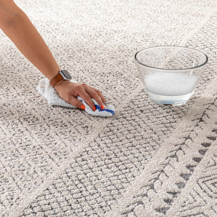 Hauteloom Burdette Soft Neutral Rug