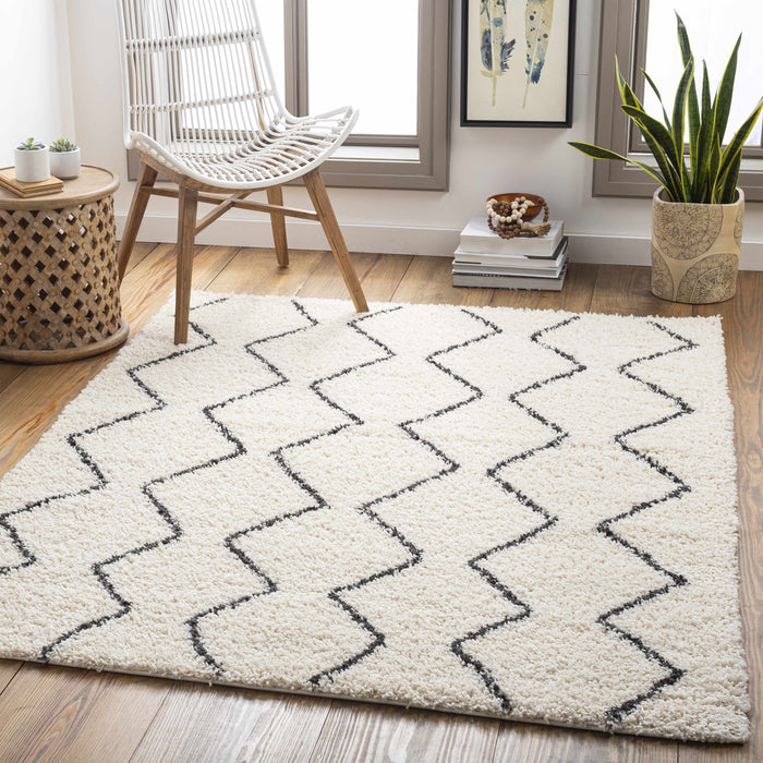 Hauteloom Assiniboia Moroccan Shag Rug