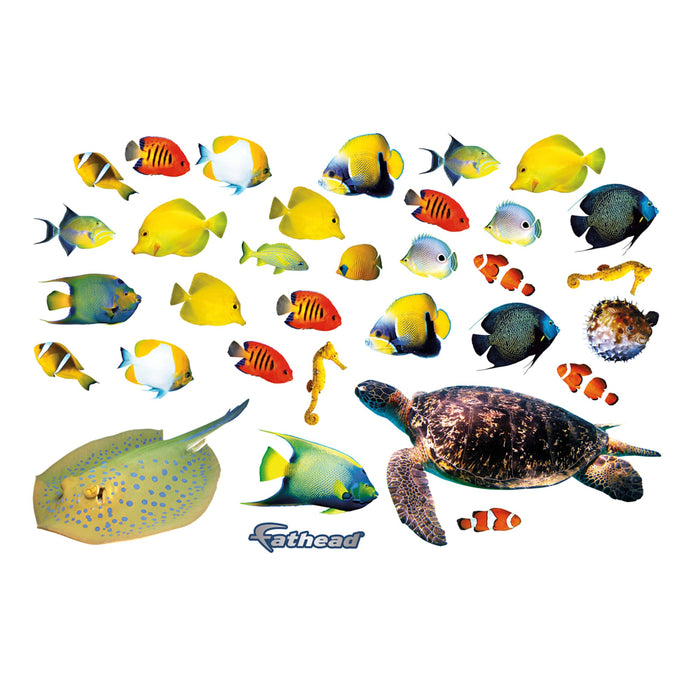 Fathead Animals: Tropical Fish - Removable Adhesive Decal