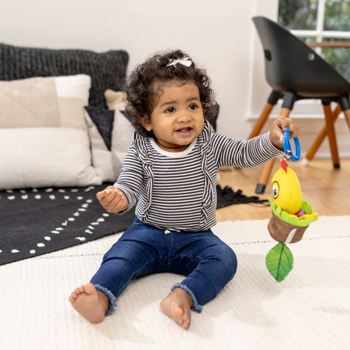 Baby Einstein Cal-A-Puller™ Pull & Shake Toy