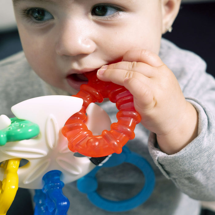 Baby Einstein Ocean Explorers Sea of Sensory Teether Toy