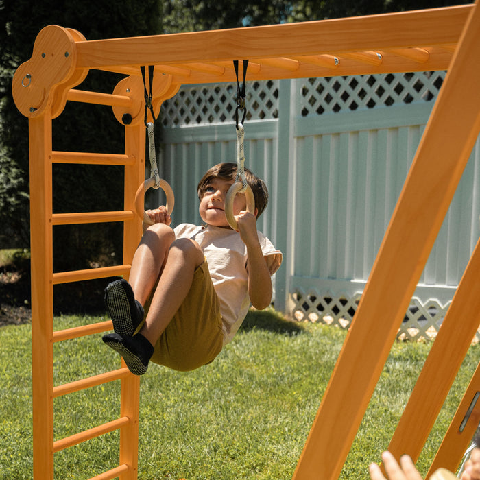 Avenlur Chestnut - Outdoor and Indoor 8-in-1 Jungle Gym for Toddlers Playset