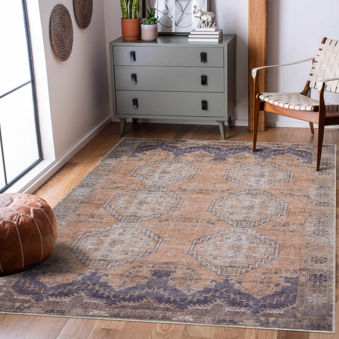 Hauteloom Carrabelle Peach Washable Area Rug - Clearance