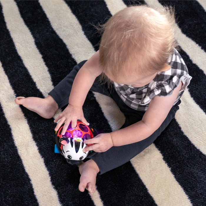 Baby Einstein Curious Car Zen™ Oball™ Toy Car & Rattle