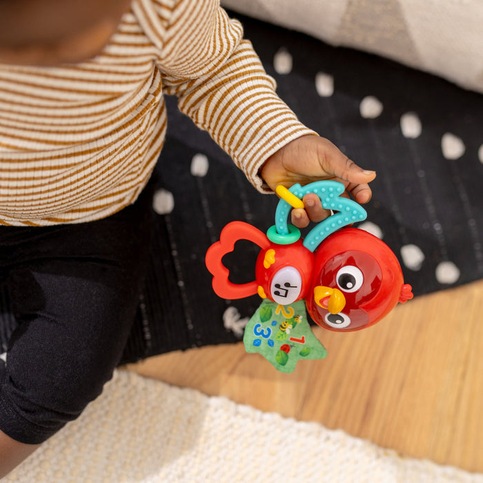 Baby Einstein Roxy'S Bright Flight™ Musical Toy