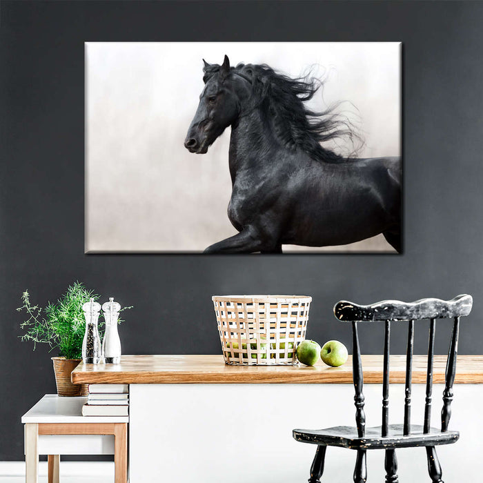 ElephantStock Black Friesian Horse Wall Art