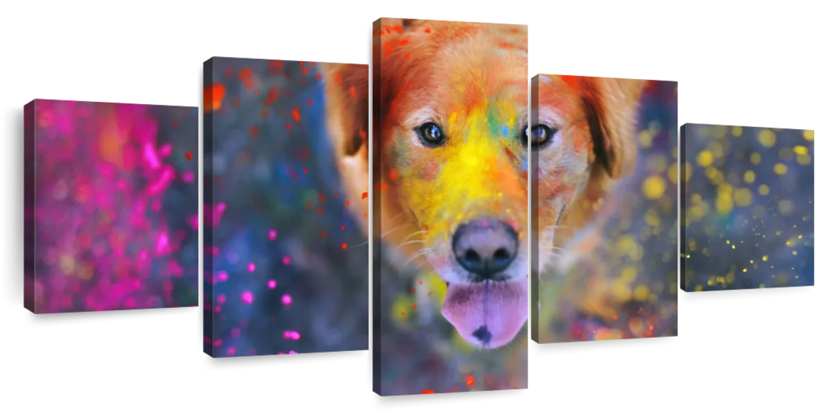 ElephantStock Colorful Labrador Wall Art