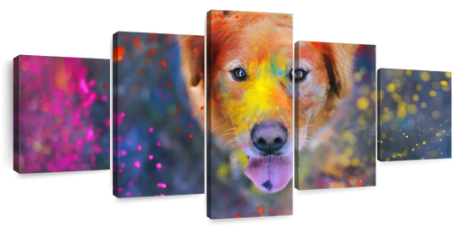 ElephantStock Colorful Labrador Wall Art