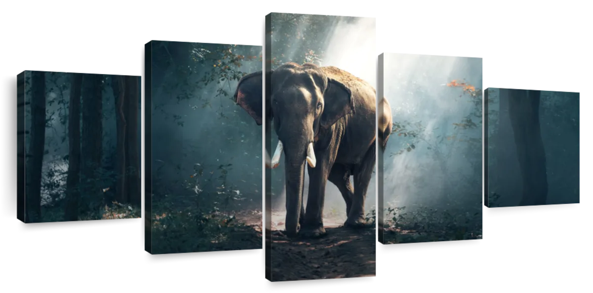 ElephantStock African Forest Elephant Wall Art