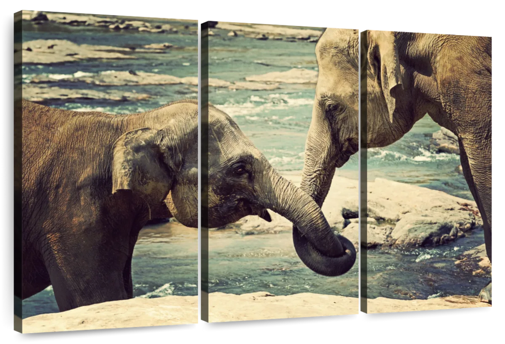 ElephantStock Asian Elephants Wall Art