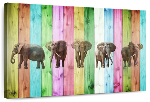 ElephantStock Color Stripe Elephants