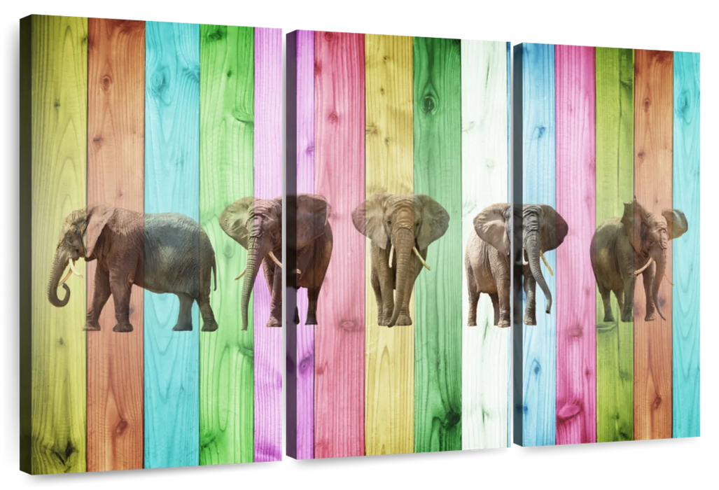 ElephantStock Color Stripe Elephants