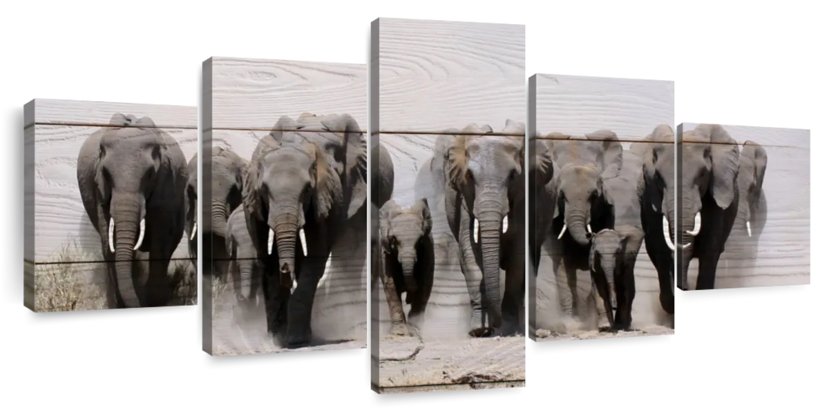 ElephantStock Elephants In Motion Wall Art