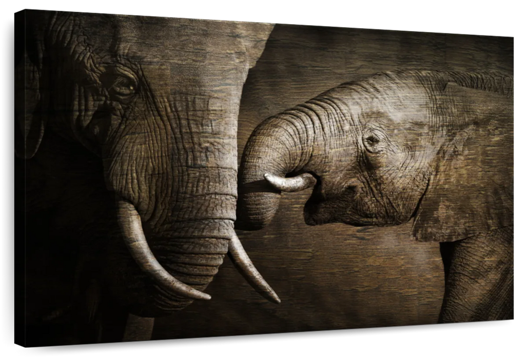 ElephantStock Affectionate Elephants Wall Art