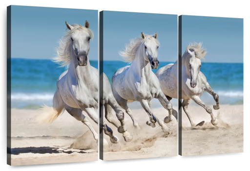 ElephantStock Wild Beach Horses Wall Art