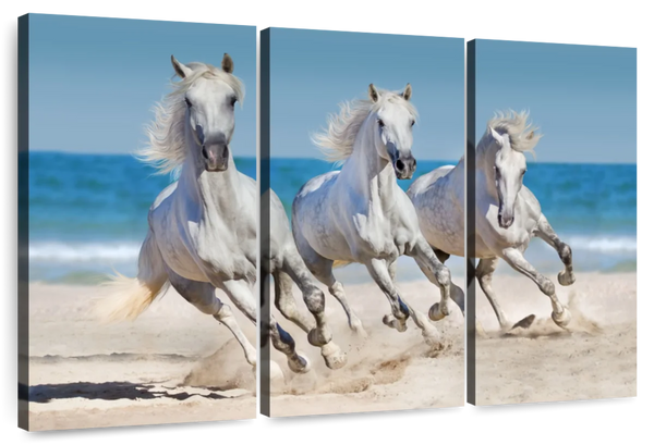 ElephantStock Wild Beach Horses Wall Art