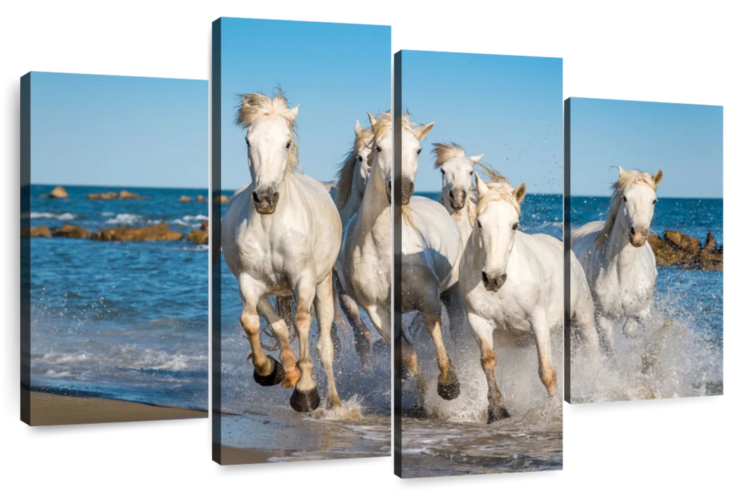 ElephantStock Camargue Horses Wall Art