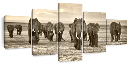 ElephantStock Herd Of Elephants Wall Art