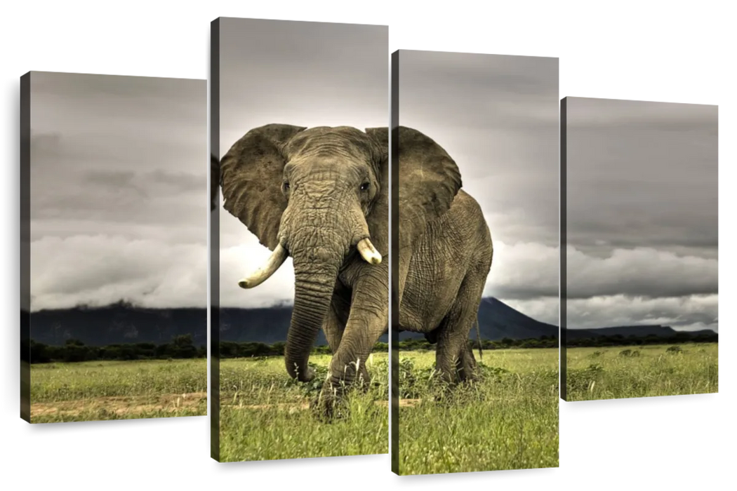 ElephantStock Elephant Landscape Wall Art