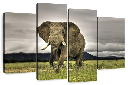 ElephantStock Elephant Landscape Wall Art