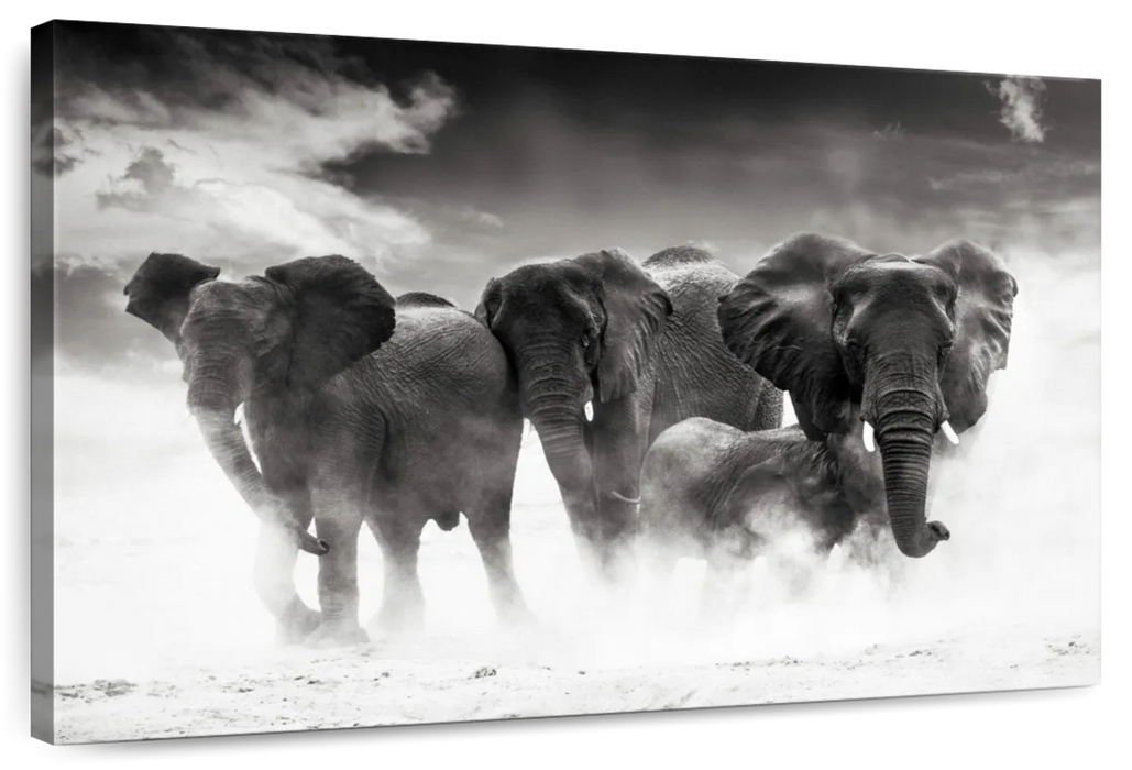 ElephantStock Etosha Park Elephants Wall Art