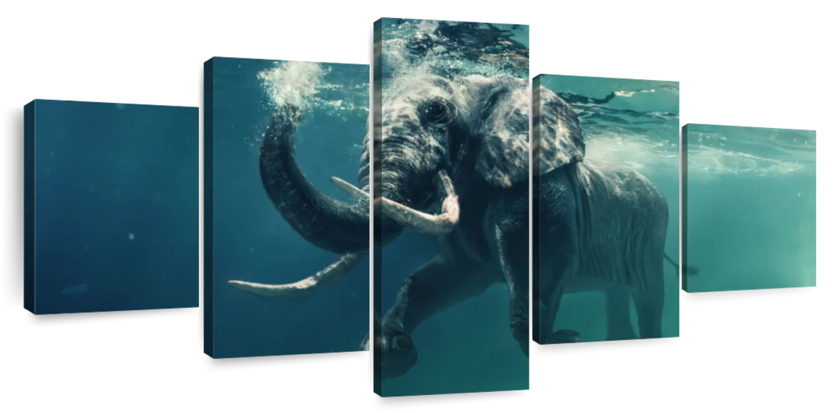 ElephantStock Swimming Elephant Wall Art