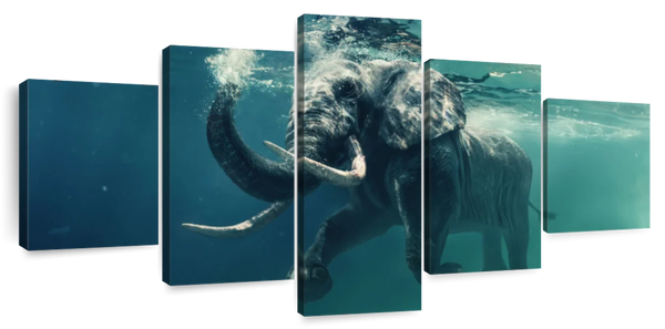 ElephantStock Swimming Elephant Wall Art