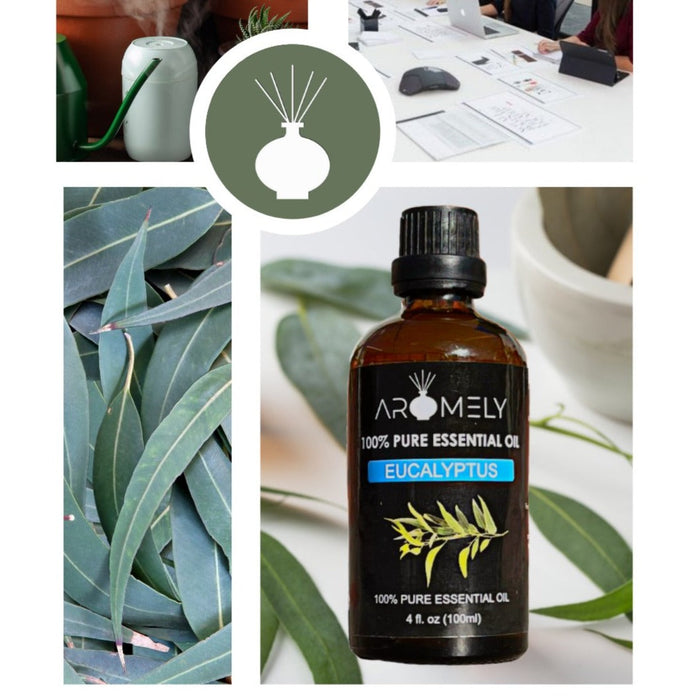 Aromely Eucalyptus Essential Oil