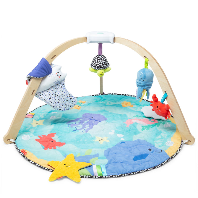 Melissa & Doug Ocean Easy-Fold Play Gym