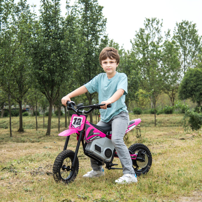 Freddo Toys 36V Electric Dirt Bike with Brushless Motor