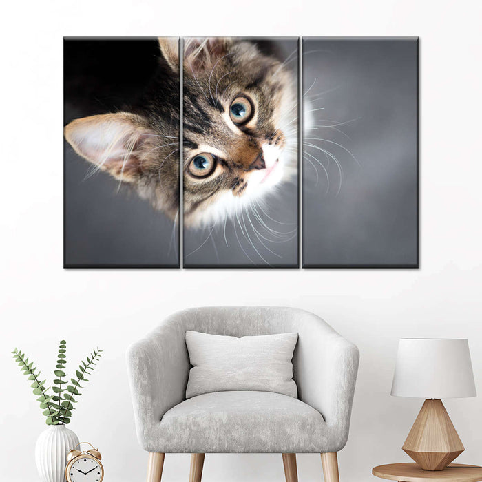 ElephantStock A Cat Wall Art