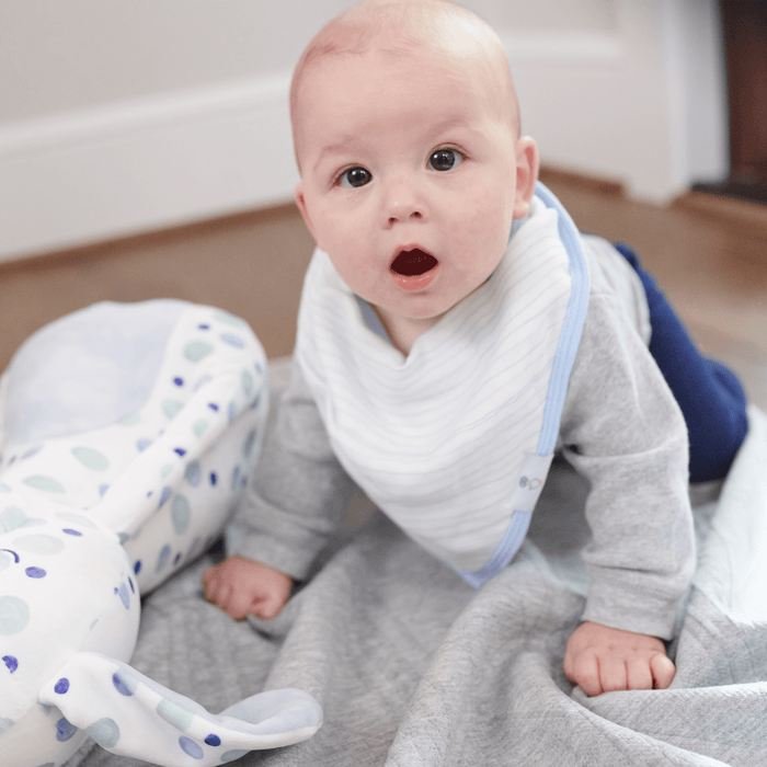 Goosewaddle® Popsicle and Stripes Blue 2 Pack Muslin & Terry Cloth Bib Set